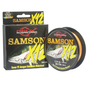 SAMSON X12