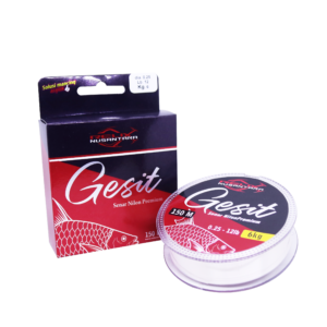 GESIT
